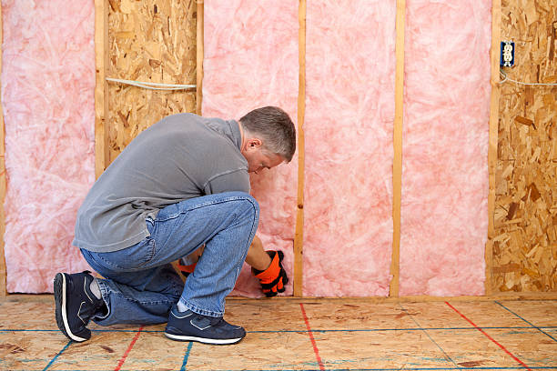 Best Cellulose Insulation  in Crossville, TN